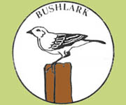 bushlark music